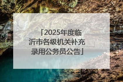 2025年度临沂市各级机关补充录用公务员公告