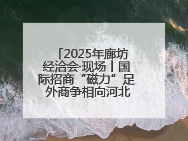 2025年廊坊经洽会·现场丨国际招商“磁力”足 外商争相向河北推介项目