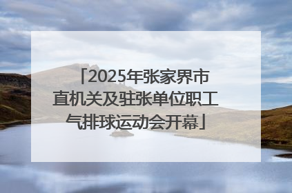 2025年张家界市直机关及驻张单位职工气排球运动会开幕