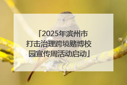 2025年滨州市打击治理跨境赌博校园宣传周活动启动