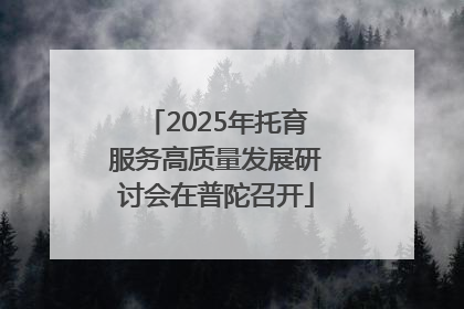 2025年托育服务高质量发展研讨会在普陀召开