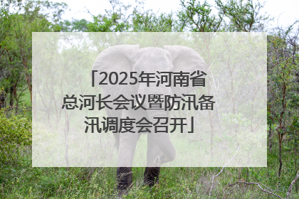 2025年河南省总河长会议暨防汛备汛调度会召开