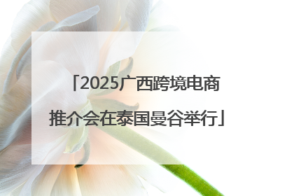 2025广西跨境电商推介会在泰国曼谷举行