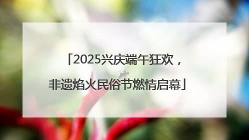 2025兴庆端午狂欢，非遗焰火民俗节燃情启幕