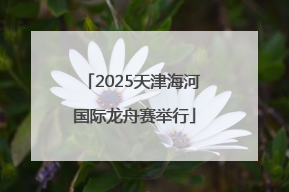 2025天津海河国际龙舟赛举行