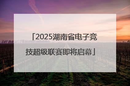 2025湖南省电子竞技超级联赛即将启幕