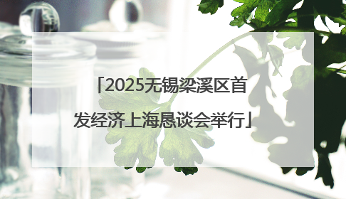 2025无锡梁溪区首发经济上海恳谈会举行