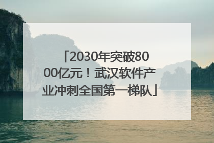 2030年突破8000亿元！武汉软件产业冲刺全国第一梯队