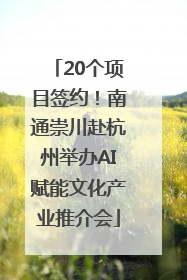 20个项目签约！南通崇川赴杭州举办AI赋能文化产业推介会