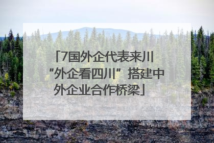 7国外企代表来川 “外企看四川”搭建中外企业合作桥梁