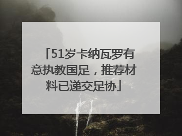 51岁卡纳瓦罗有意执教国足，推荐材料已递交足协