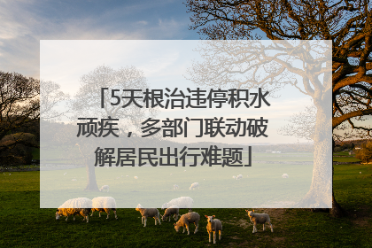 5天根治违停积水顽疾，多部门联动破解居民出行难题
