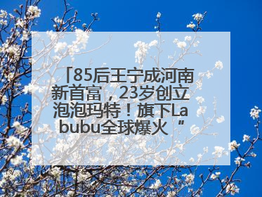 85后王宁成河南新首富，23岁创立泡泡玛特！旗下Labubu全球爆火“一娃难求”