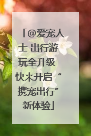 @爱宠人士 出行游玩全升级 快来开启“携宠出行”新体验