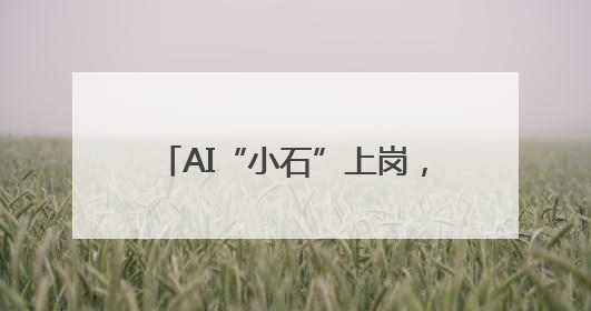 AI“小石”上岗，政务“边聊边办”
