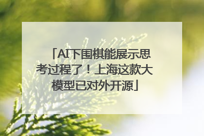 AI下围棋能展示思考过程了！上海这款大模型已对外开源