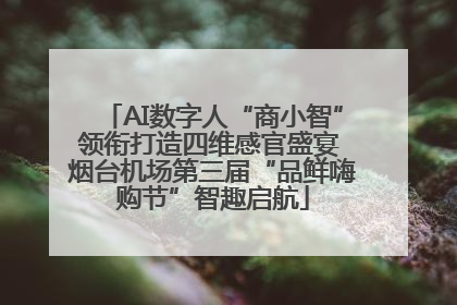 AI数字人“商小智”领衔打造四维感官盛宴 烟台机场第三届“品鲜嗨购节”智趣启航