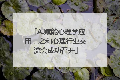 AI赋能心理学应用，之和心理行业交流会成功召开