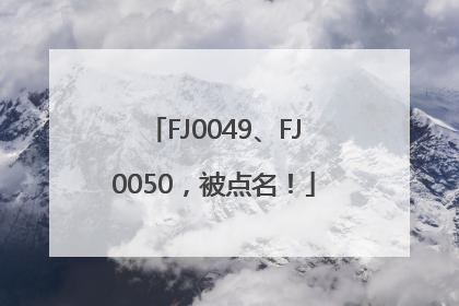 FJ0049、FJ0050，被点名！