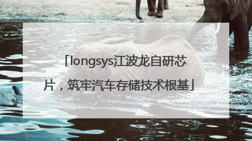longsys江波龙自研芯片，筑牢汽车存储技术根基
